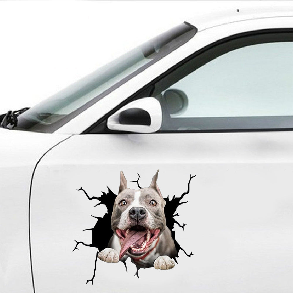 Car with a dog sticker peering through a 'cracked' effect on the side.
