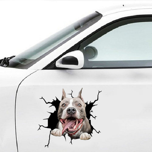 Car with a dog sticker peering through a 'cracked' effect on the side.