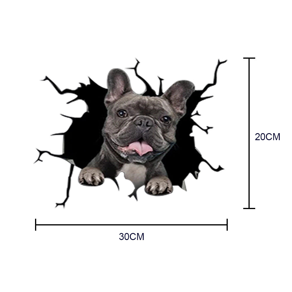 Wall decal of a bulldog peeking through a black crack with dimensions indicated.
