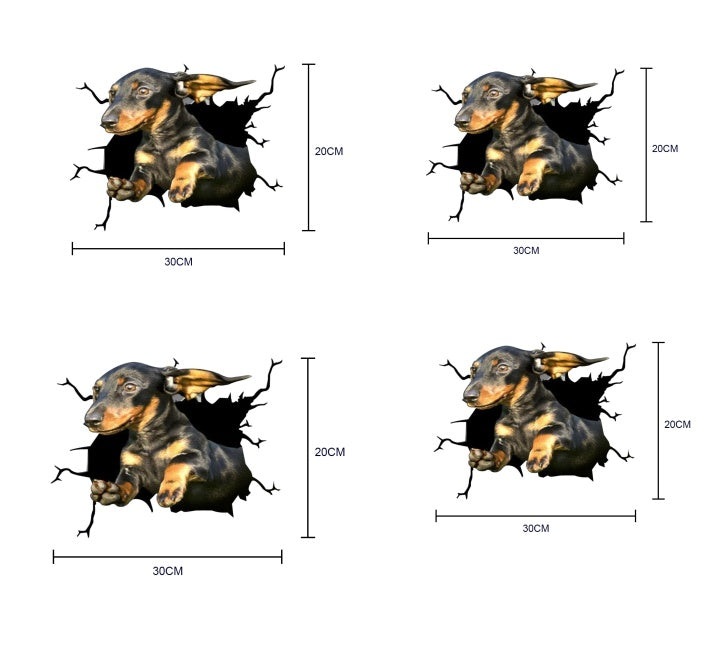 Four dachshund wall stickers with dimensions on a white background
